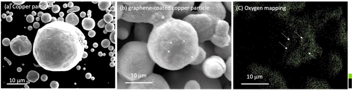 1700533036180247.png 图片1.png